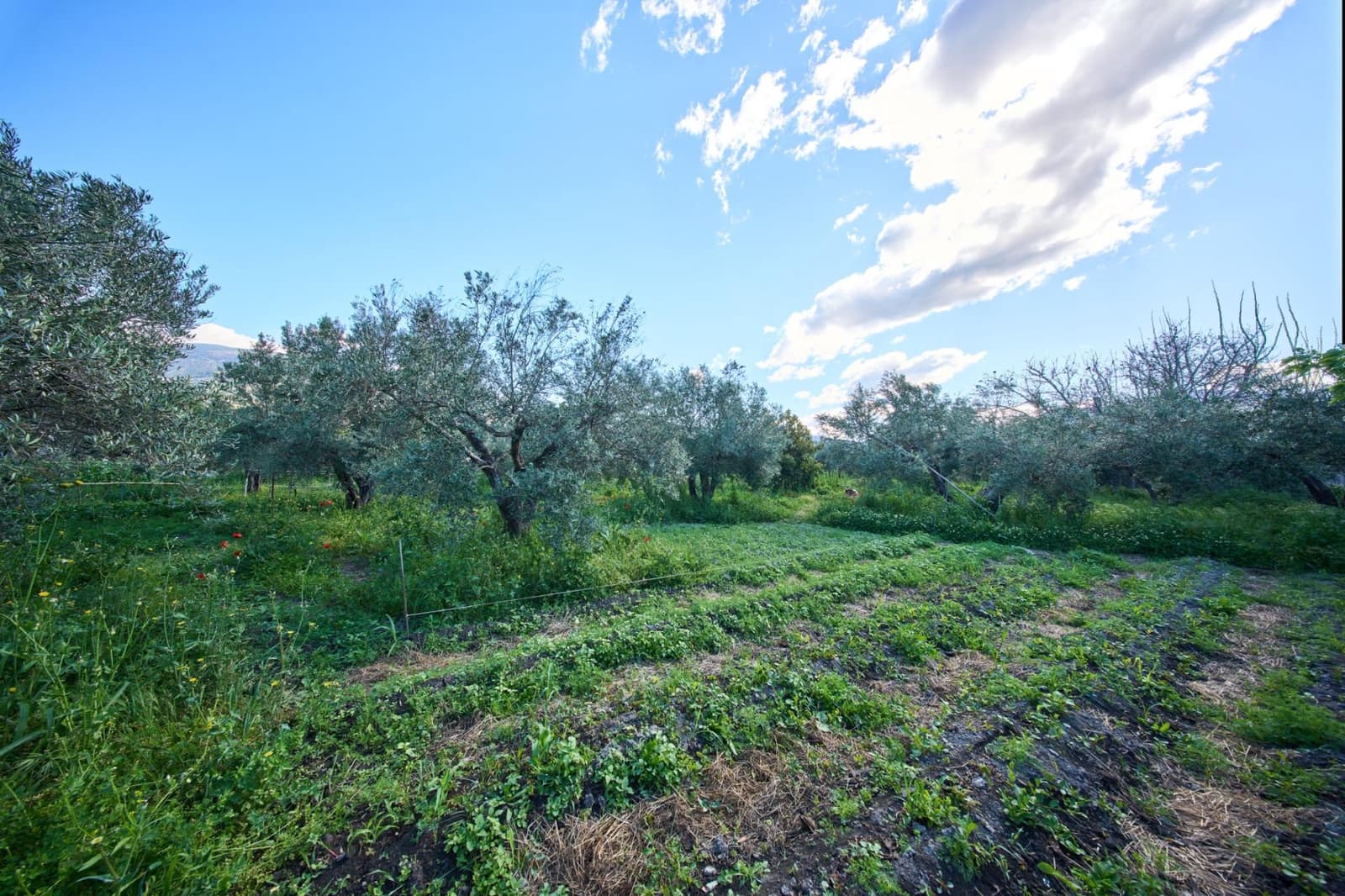 3 bedroom Finca/Country House for sale in Orgiva - € 260,000 (Ref: 9786985)
