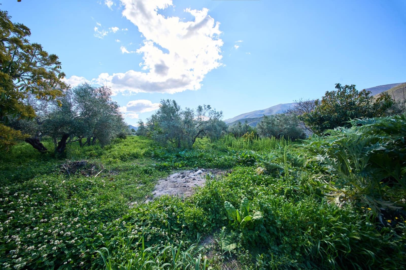 3 bedroom Finca/Country House for sale in Orgiva - € 260,000 (Ref: 9786985)