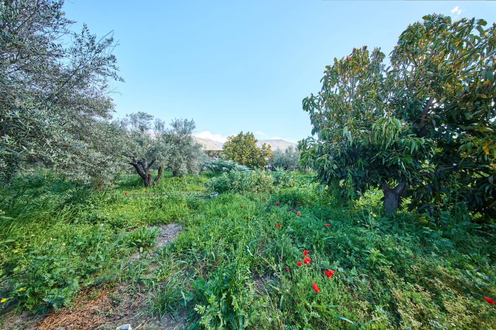 3 bedroom Finca/Country House for sale in Orgiva - € 260,000 (Ref: 9786985)