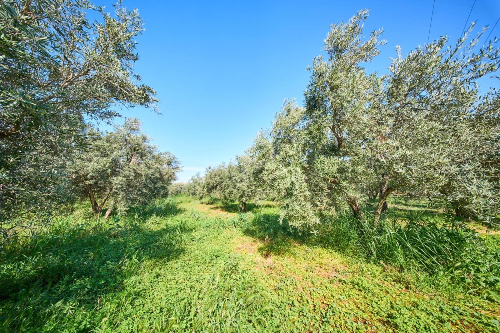 3 bedroom Finca/Country House for sale in Orgiva - € 260,000 (Ref: 9786985)