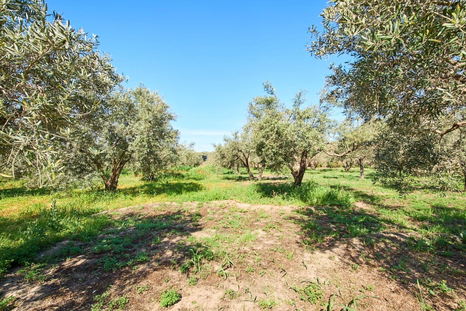 3 bedroom Finca/Country House for sale in Orgiva - € 260,000 (Ref: 9786985)