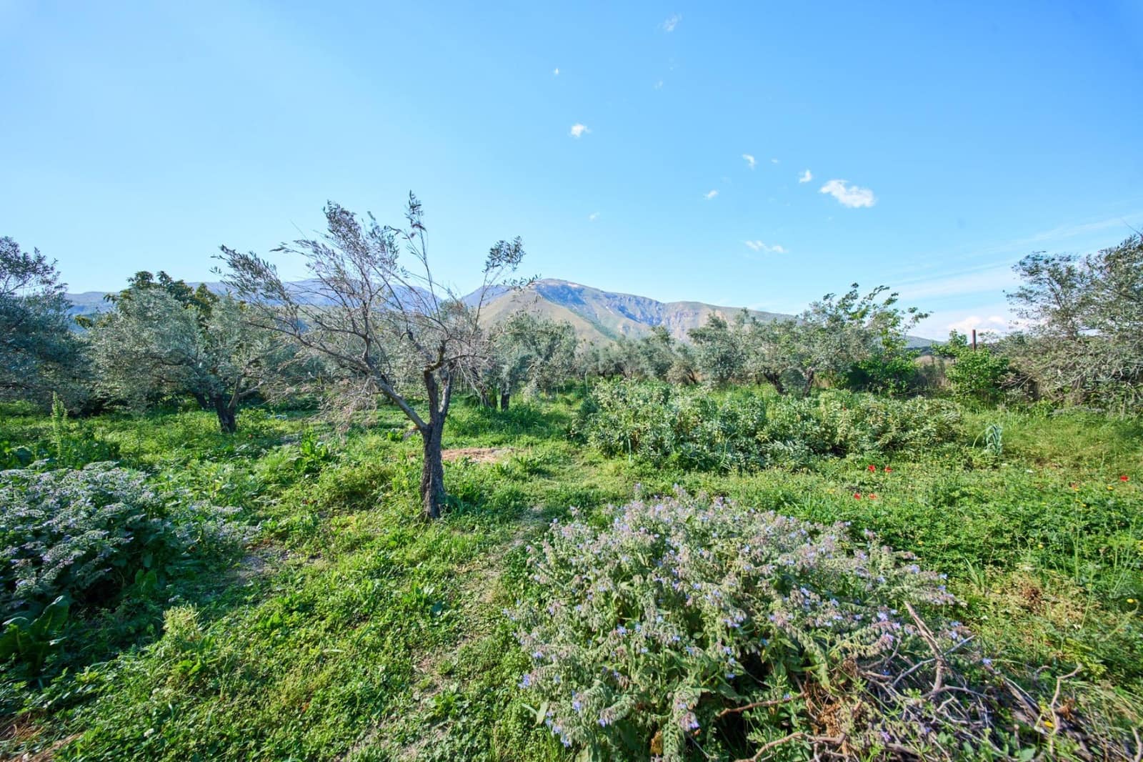 3 camera da letto Finca/Casa di Campagna in vendita in Orgiva - 260.000 € (Rif: 9786985)