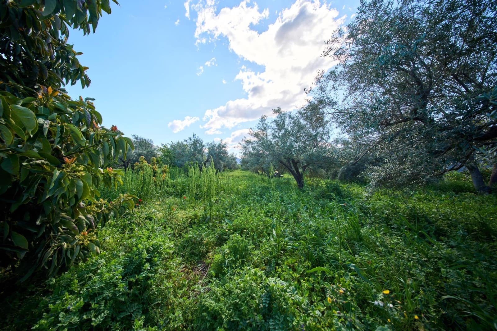 3 camera da letto Finca/Casa di Campagna in vendita in Orgiva - 260.000 € (Rif: 9786985)
