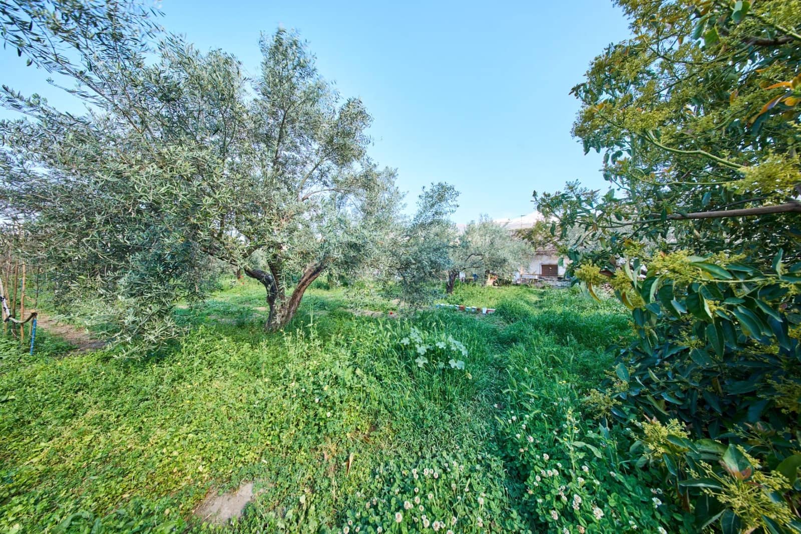 3 camera da letto Finca/Casa di Campagna in vendita in Orgiva - 260.000 € (Rif: 9786985)
