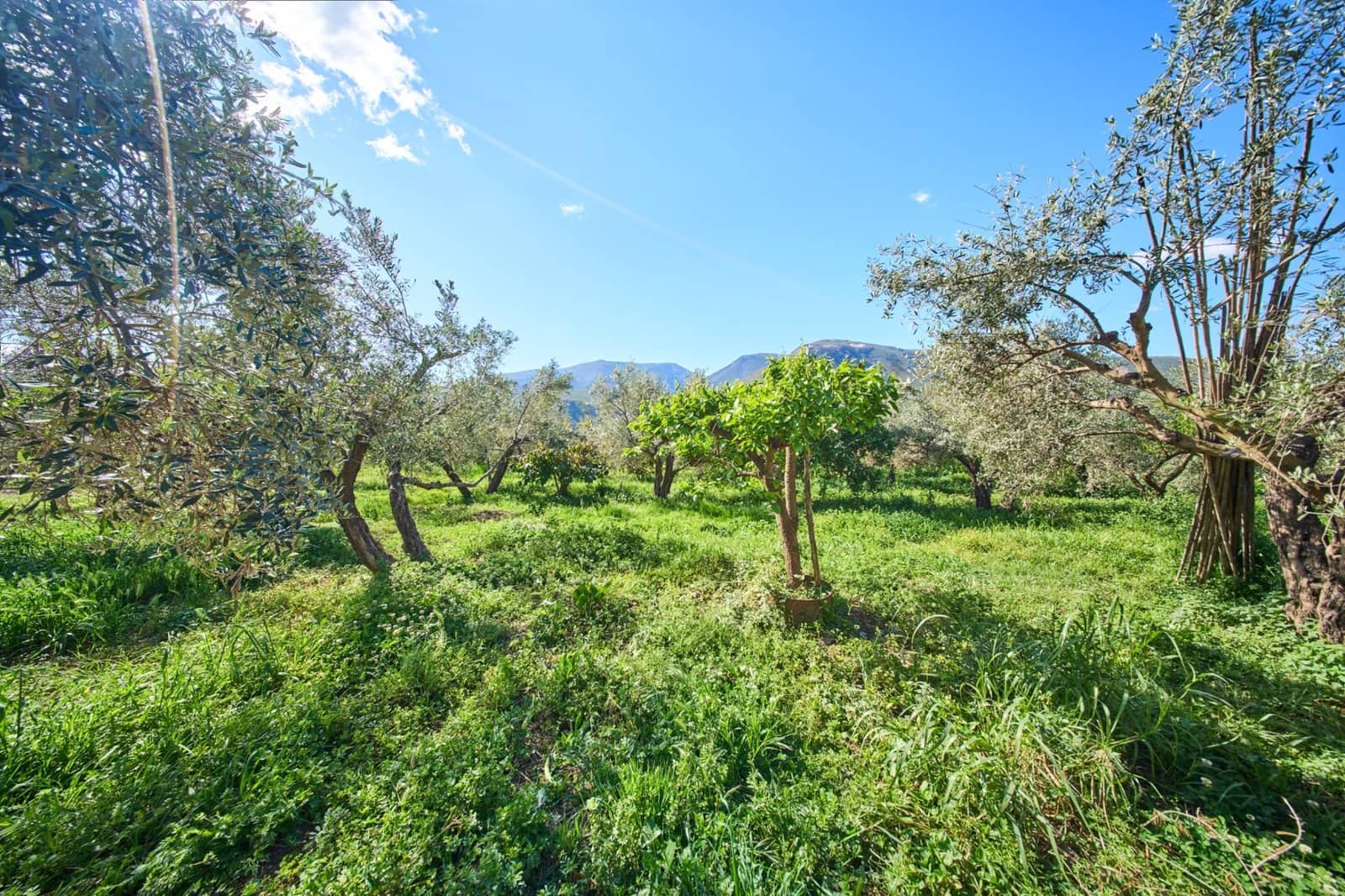 3 camera da letto Finca/Casa di Campagna in vendita in Orgiva - 260.000 € (Rif: 9786985)