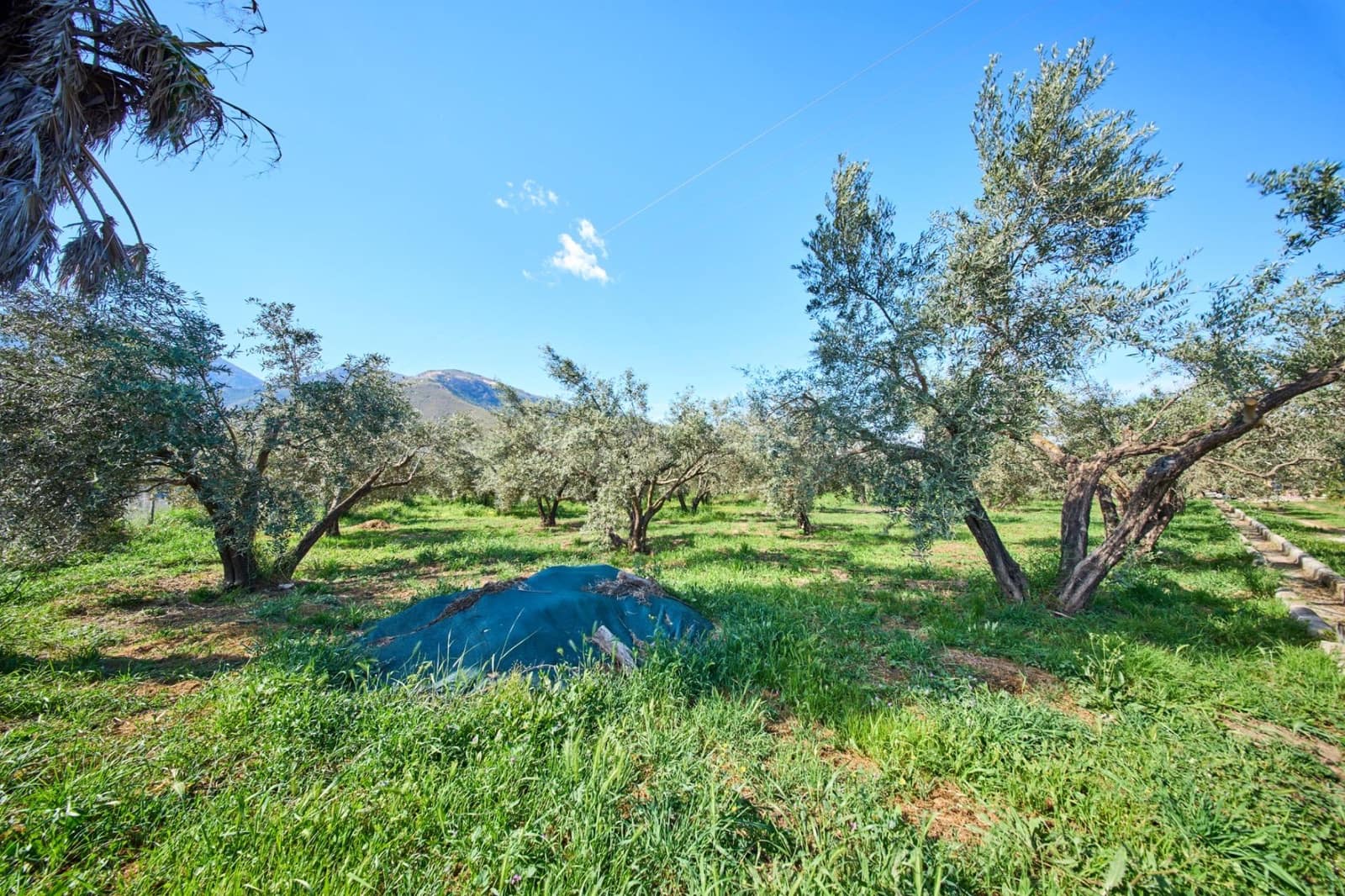 3 camera da letto Finca/Casa di Campagna in vendita in Orgiva - 260.000 € (Rif: 9786985)
