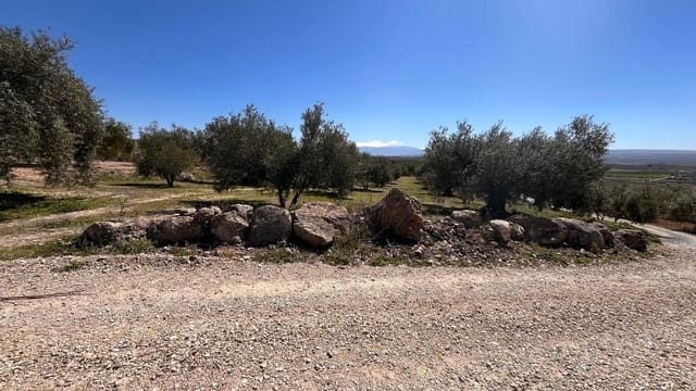 Undeveloped Land for sale in Alomartes, Illora - € 50,000 (Ref: 9804541)