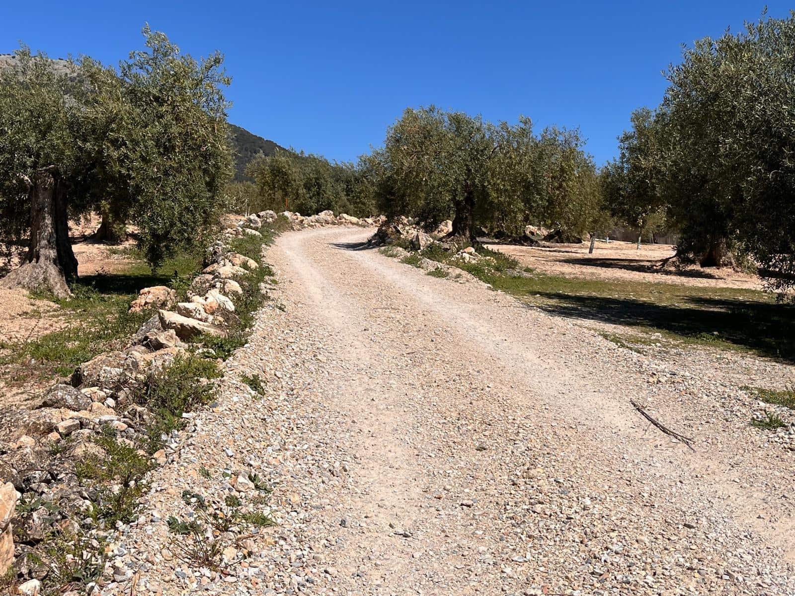 Undeveloped Land for sale in Alomartes - € 50,000 (Ref: 9804541)