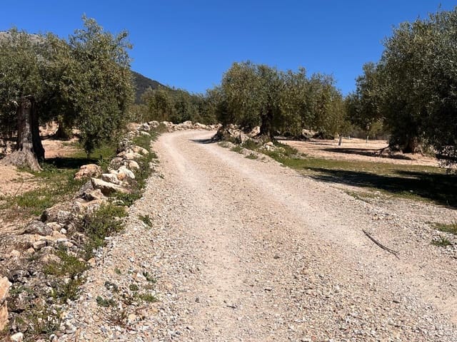 Undeveloped Land for sale in Alomartes, Illora - € 50,000 (Ref: 9804541)