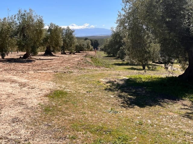 Undeveloped Land for sale in Alomartes, Illora - € 50,000 (Ref: 9804541)