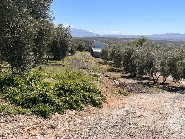 Undeveloped Land for sale in Alomartes, Illora - € 50,000 (Ref: 9804541)