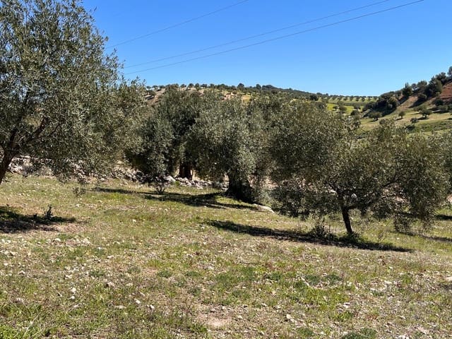 Undeveloped Land for sale in Alomartes, Illora - € 50,000 (Ref: 9804541)