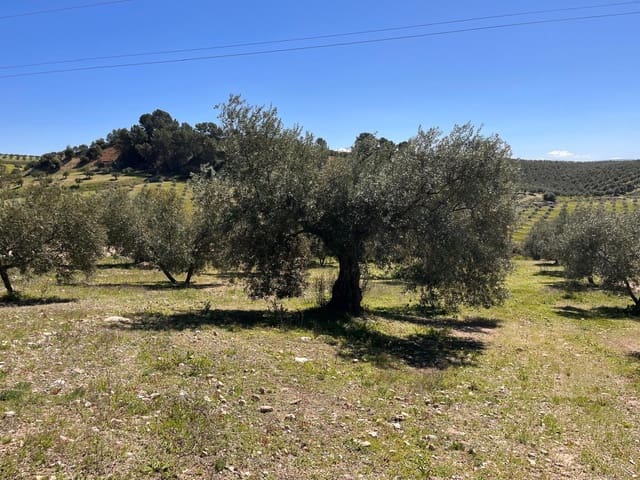 Undeveloped Land for sale in Alomartes, Illora - € 50,000 (Ref: 9804541)