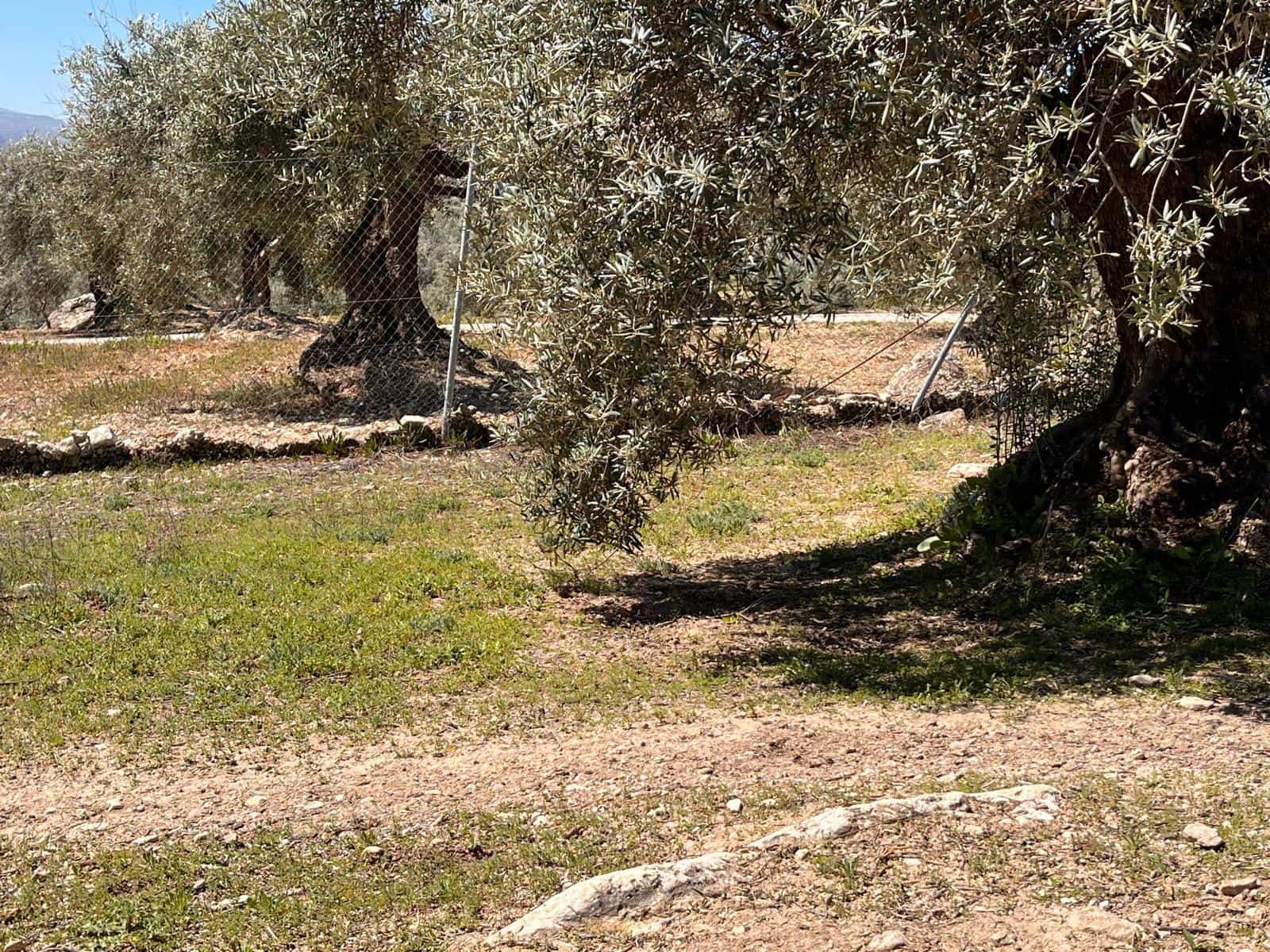 Undeveloped Land for sale in Alomartes - € 50,000 (Ref: 9804541)