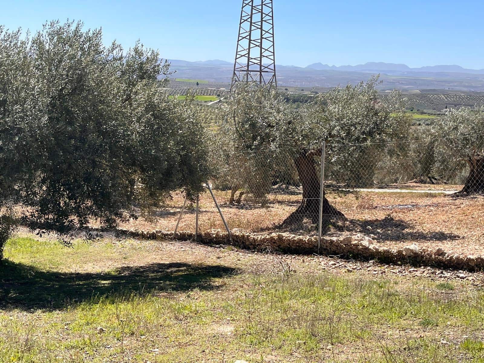 Undeveloped Land for sale in Alomartes - € 50,000 (Ref: 9804541)