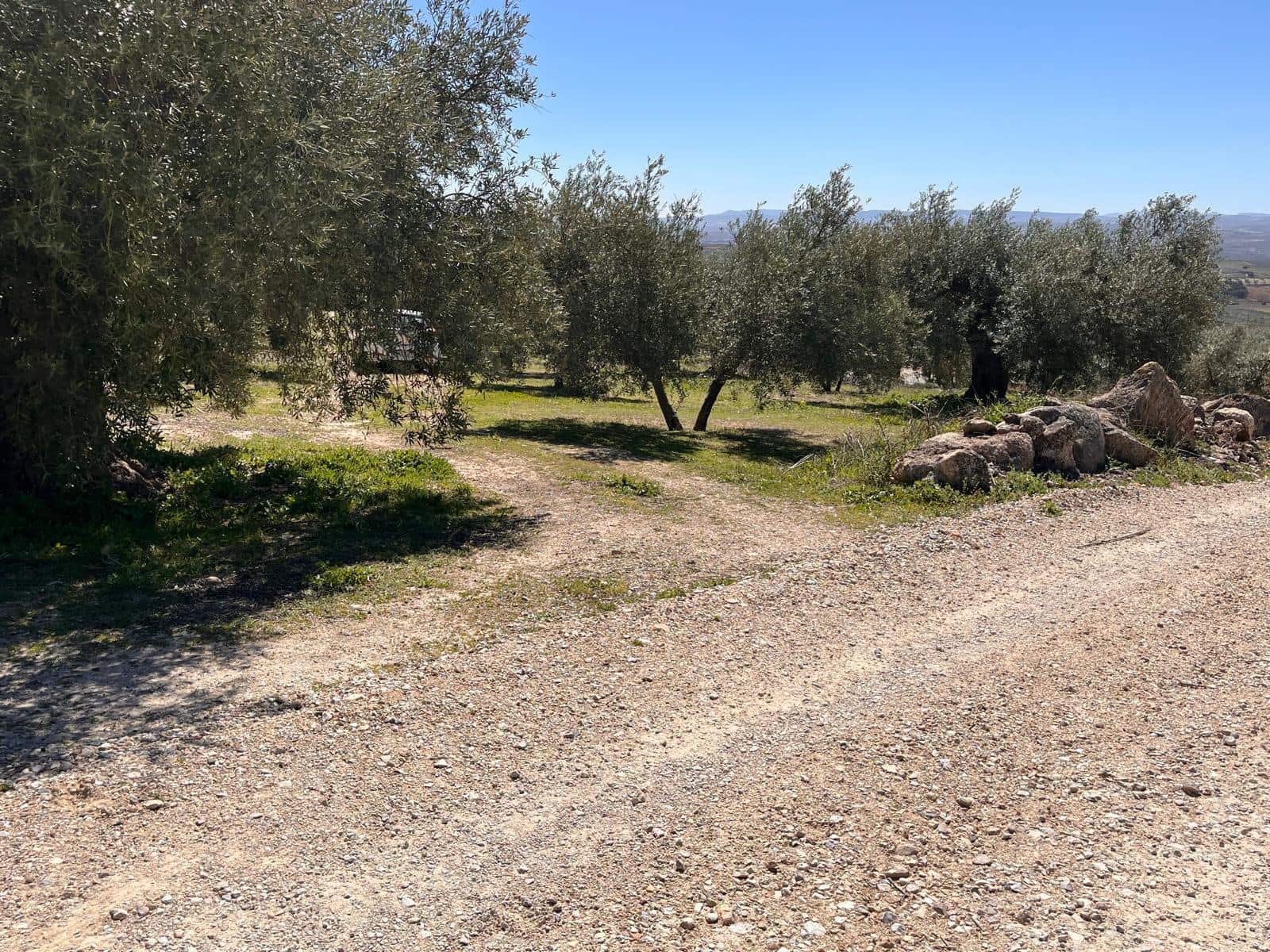 Undeveloped Land for sale in Alomartes - € 50,000 (Ref: 9804541)
