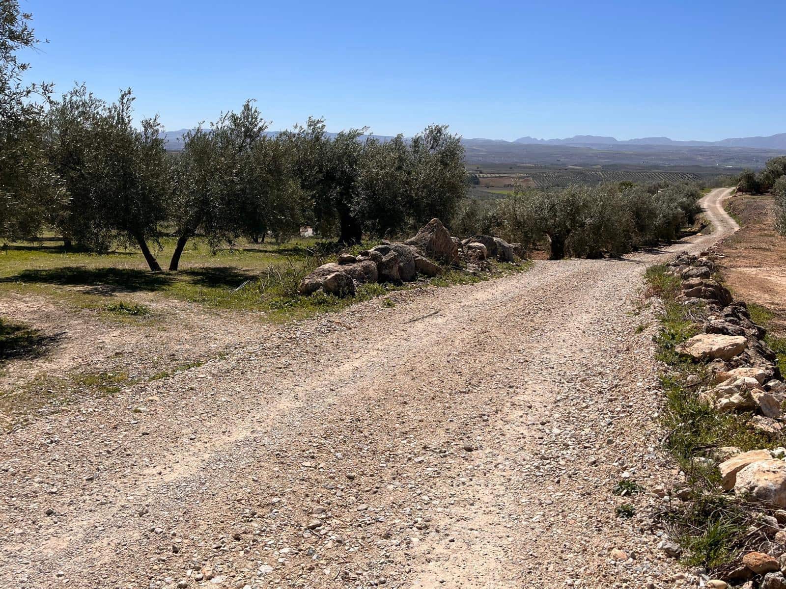 Undeveloped Land for sale in Alomartes - € 50,000 (Ref: 9804541)