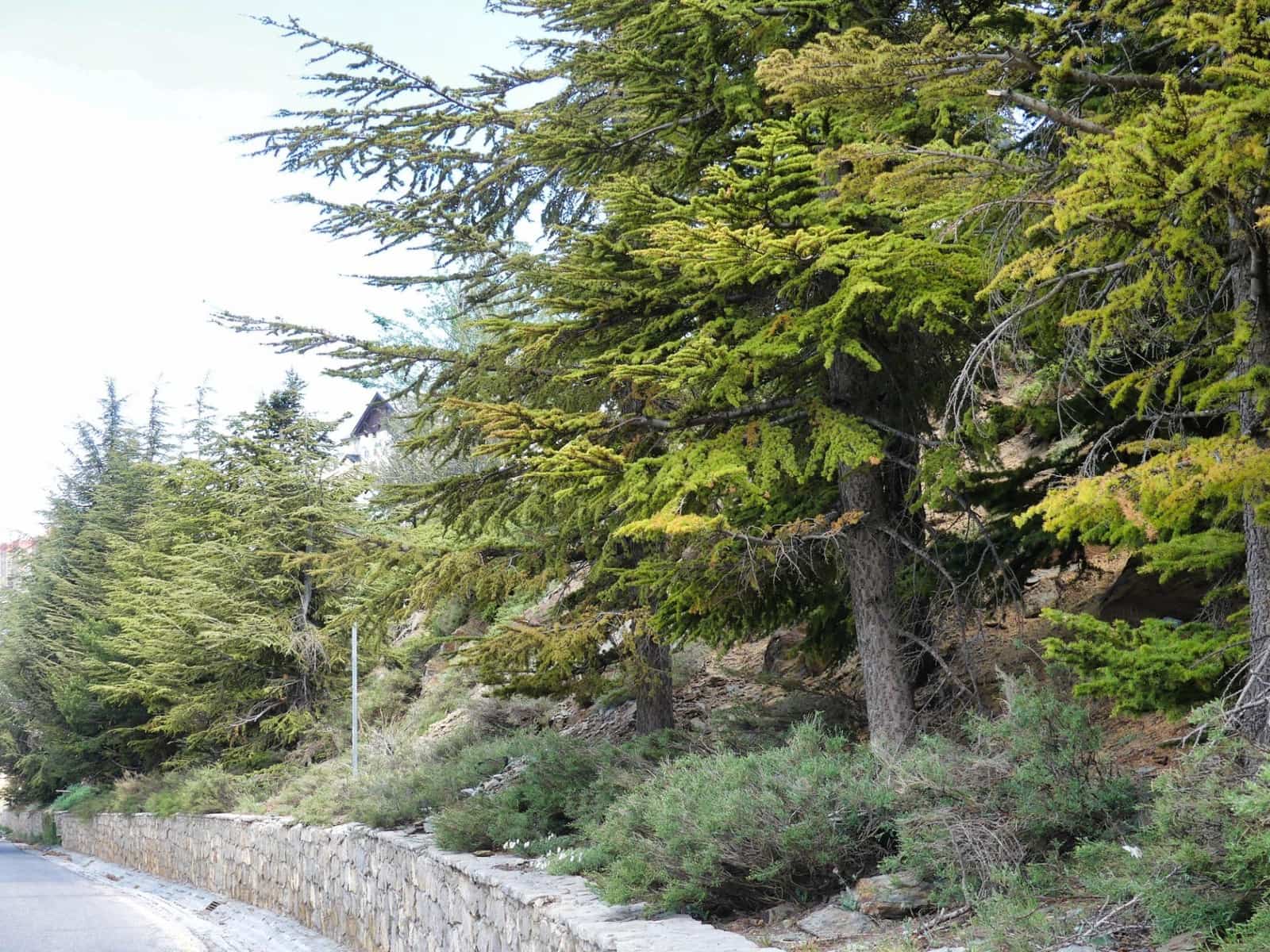 Apartment for sale in Sierra Nevada - € 145,000 (Ref: 9840939)