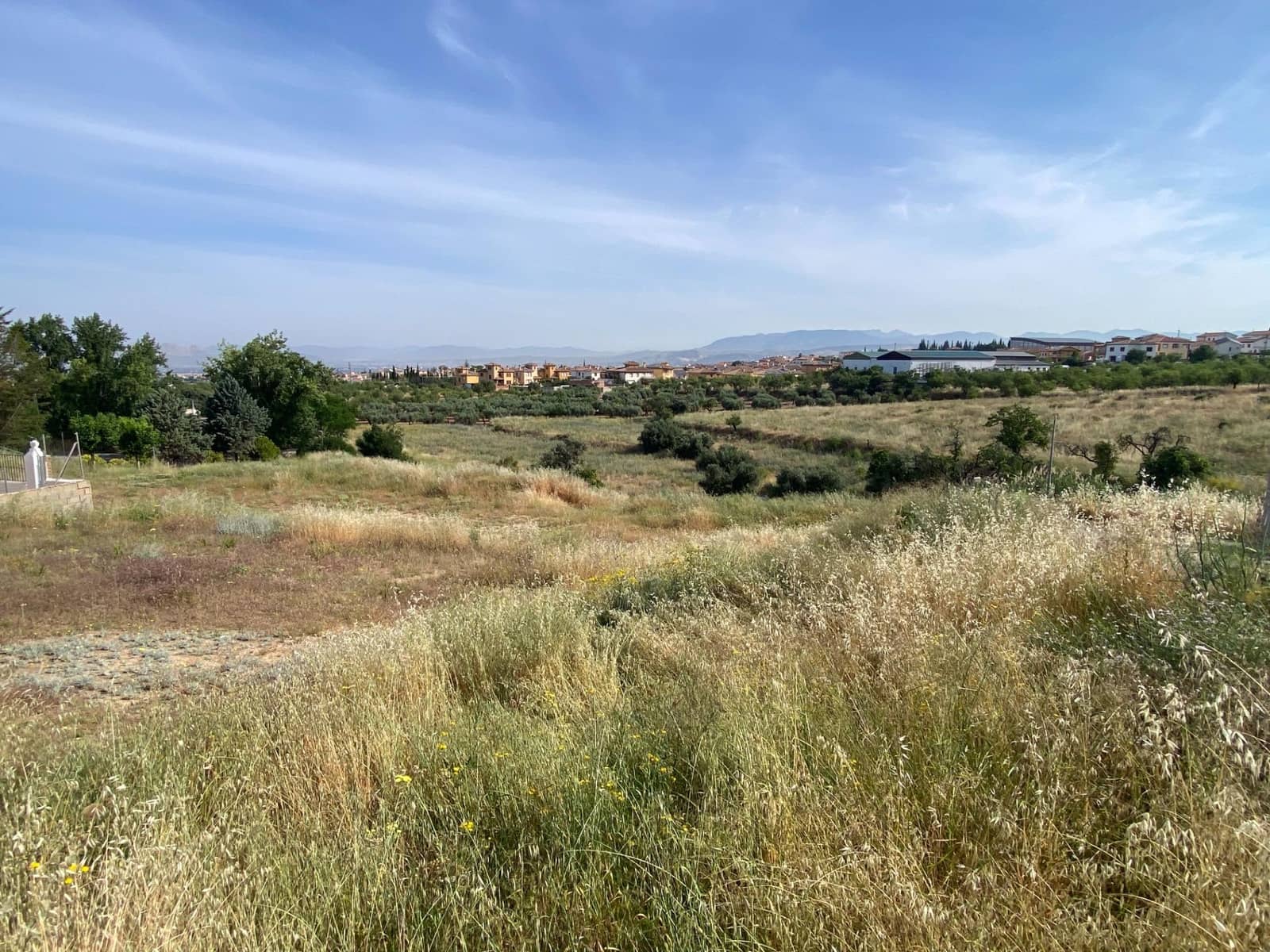 Building Plot for sale in Gojar - € 80,000 (Ref: 9876620)