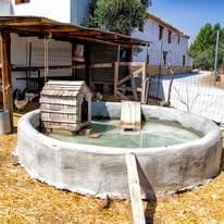 12 slaapkamer Finca/Landhuis te koop in Baza met garage - € 599.000 (Ref: 9916048)