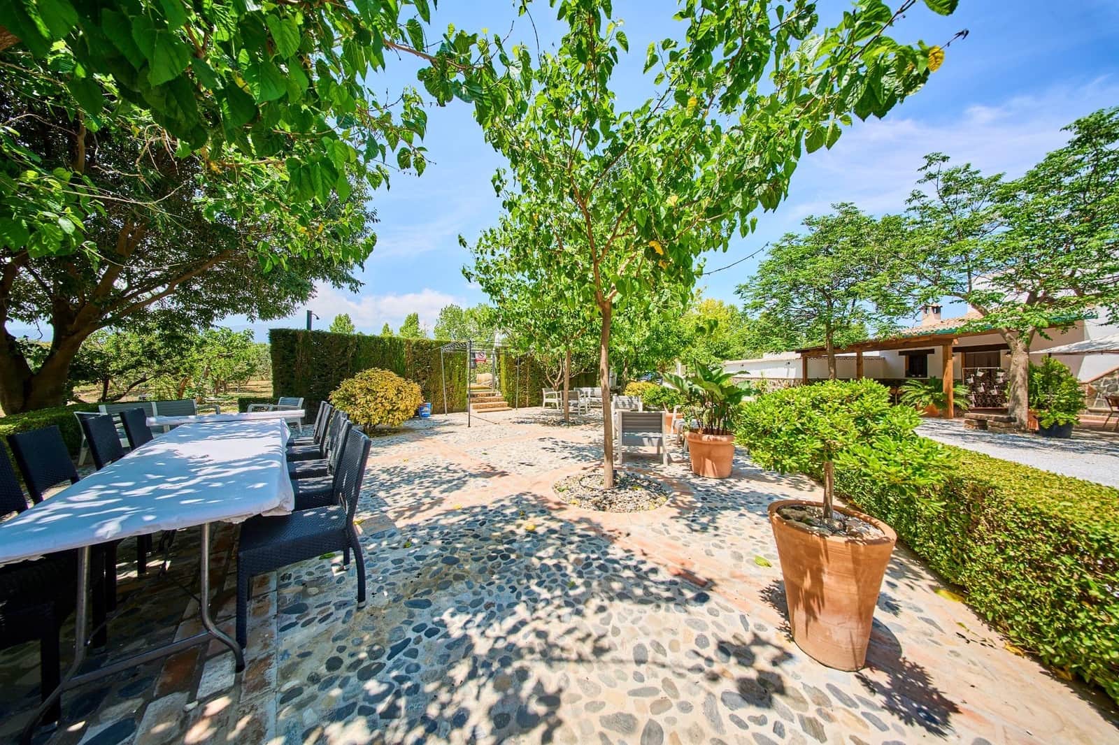 12 slaapkamer Finca/Landhuis te koop in Baza met garage - € 599.000 (Ref: 9916048)