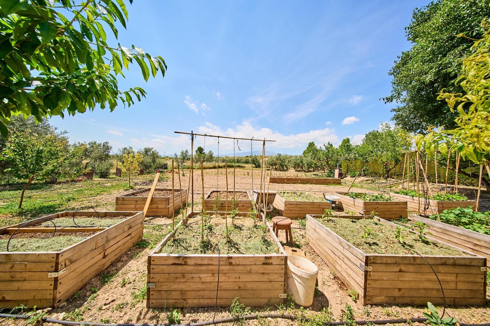 12 slaapkamer Finca/Landhuis te koop in Baza met garage - € 599.000 (Ref: 9916048)