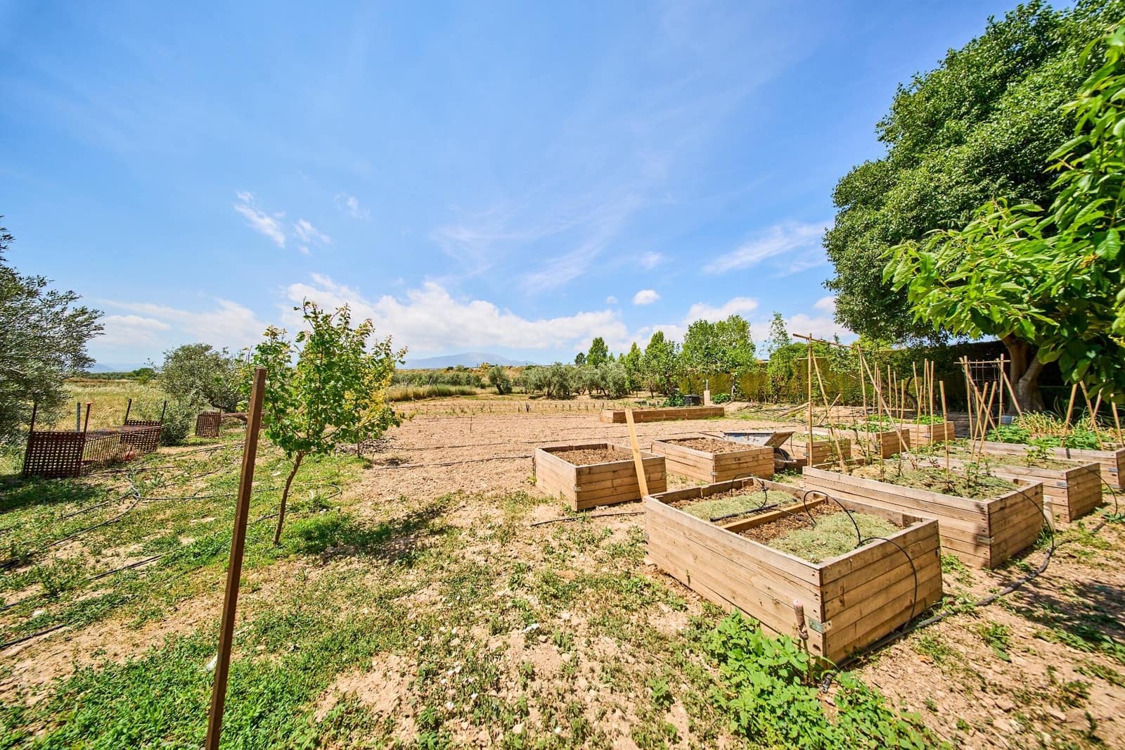 12 slaapkamer Finca/Landhuis te koop in Baza met garage - € 599.000 (Ref: 9916048)