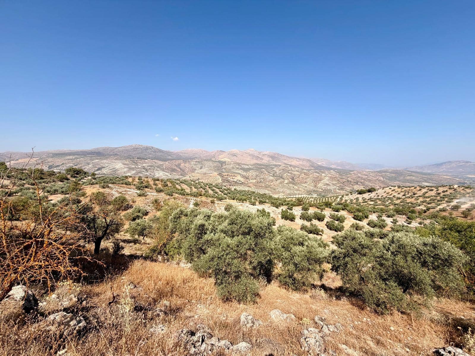 Undeveloped Land for sale in Salar - € 70,000 (Ref: 9945918)