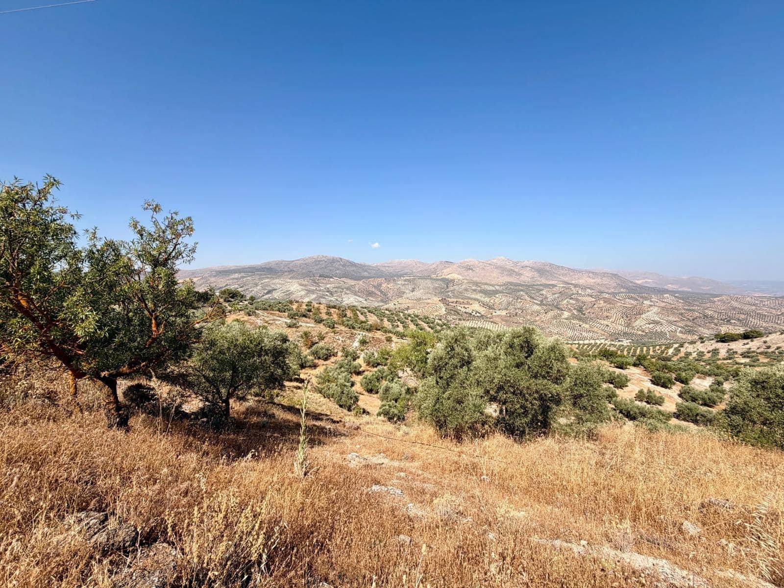 Undeveloped Land for sale in Salar - € 70,000 (Ref: 9945918)