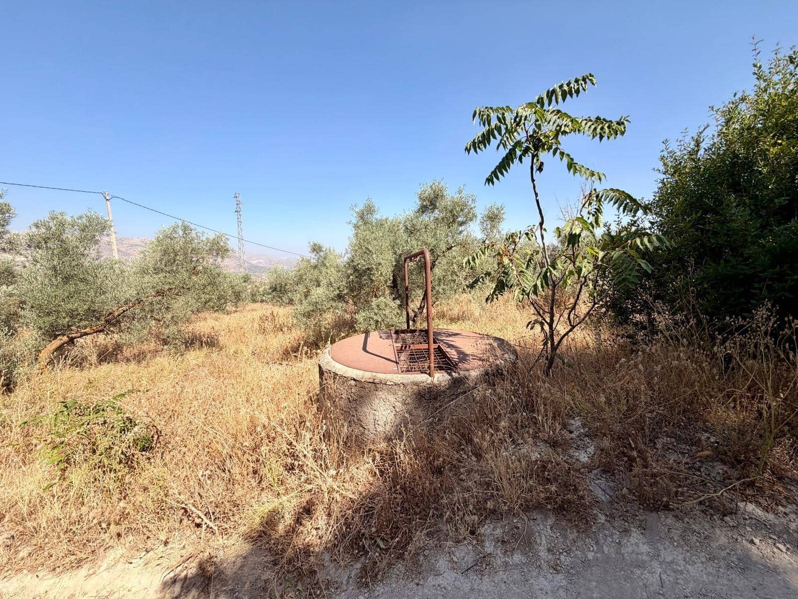 Undeveloped Land for sale in Salar - € 70,000 (Ref: 9945918)