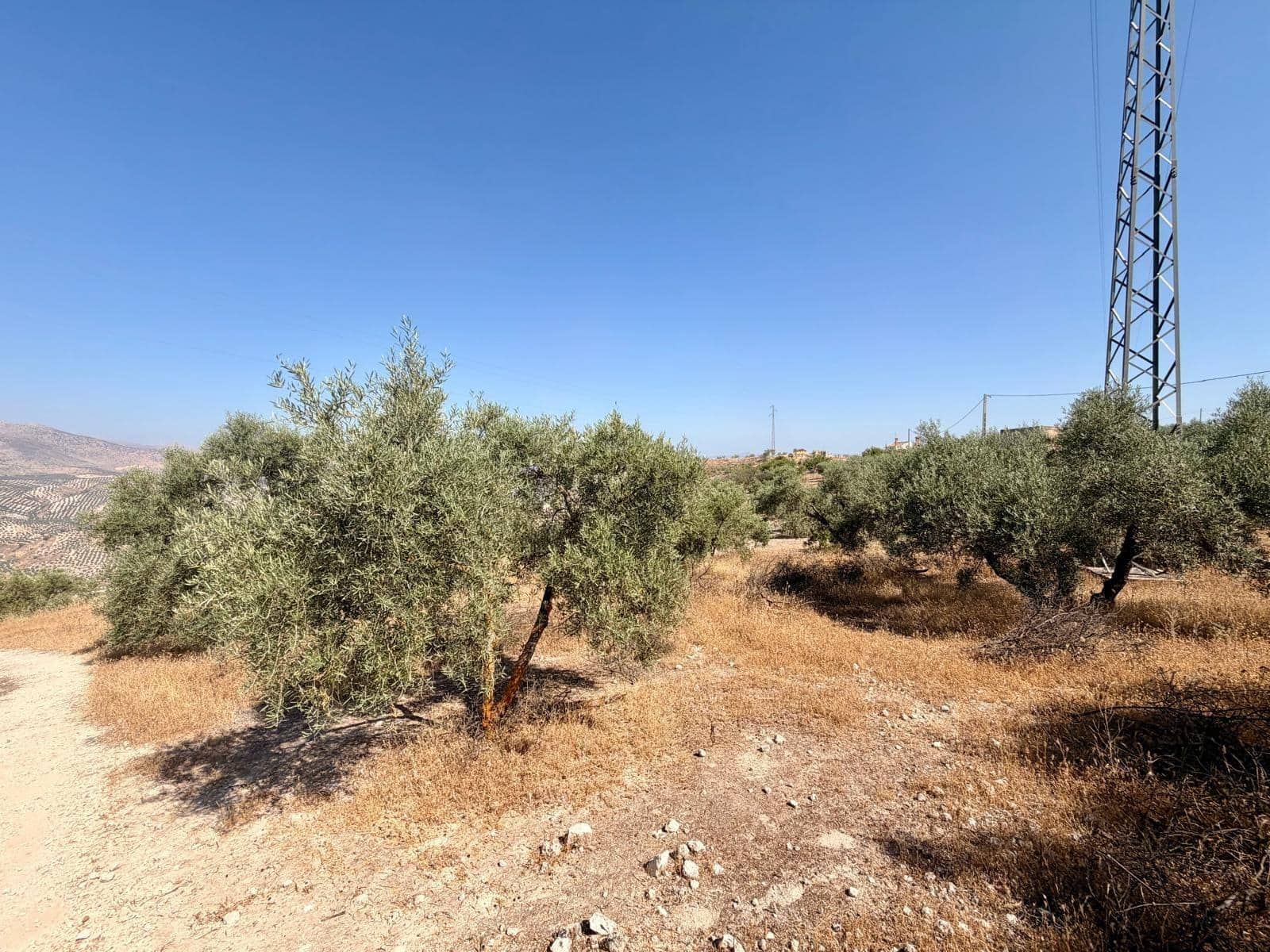 Undeveloped Land for sale in Salar - € 70,000 (Ref: 9945918)