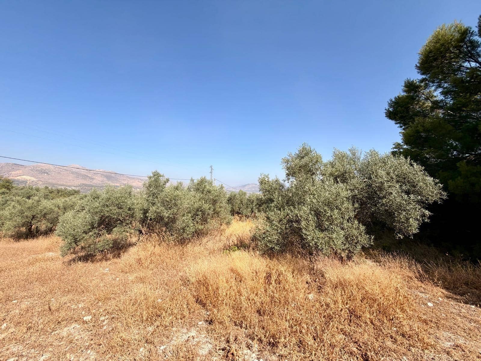 Undeveloped Land for sale in Salar - € 70,000 (Ref: 9945918)