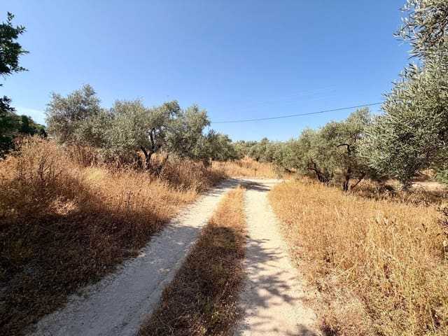 Undeveloped Land for sale in Salar - € 70,000 (Ref: 9945918)