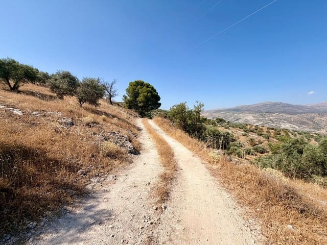 Undeveloped Land for sale in Salar - € 70,000 (Ref: 9945918)