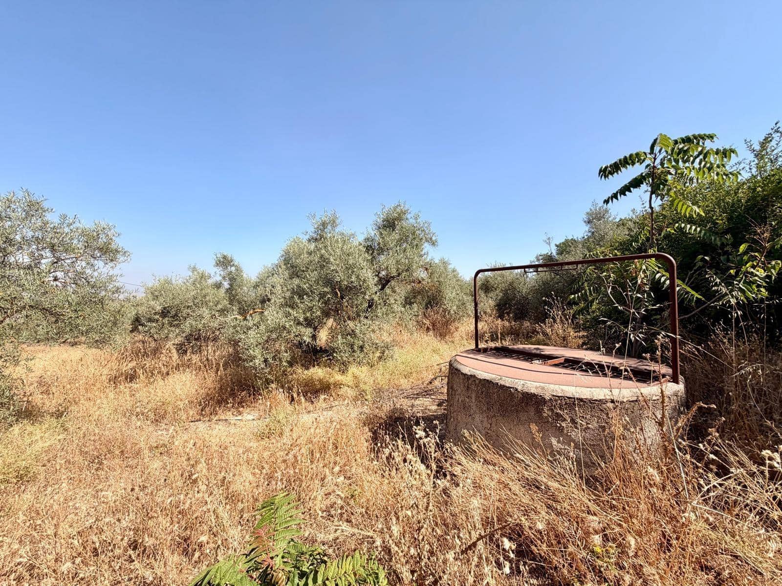 Undeveloped Land for sale in Salar - € 70,000 (Ref: 9945918)