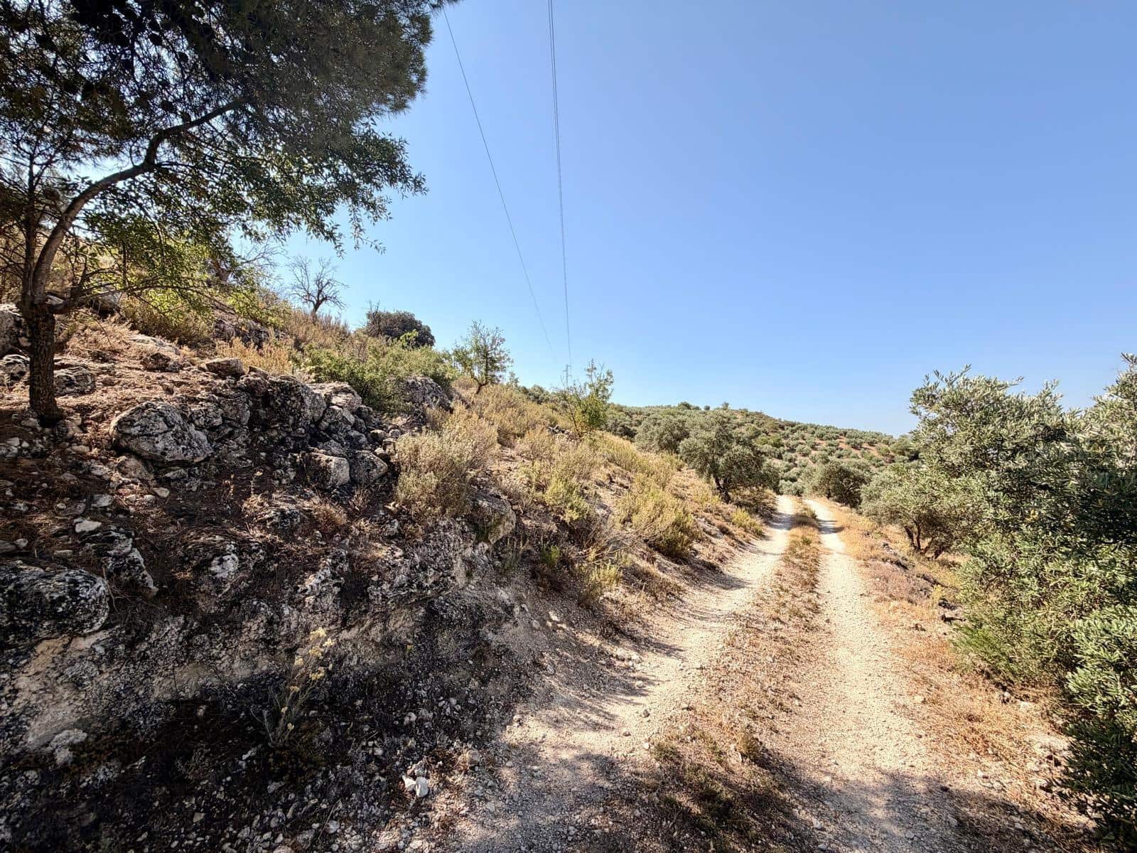 Undeveloped Land for sale in Salar - € 70,000 (Ref: 9945918)
