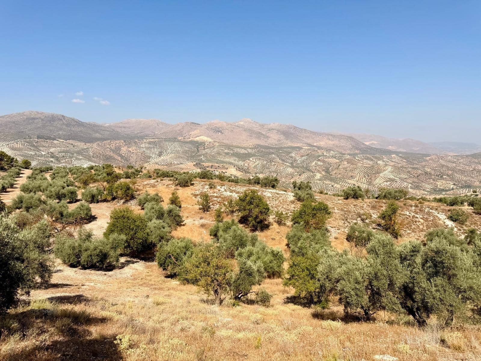 Undeveloped Land for sale in Salar - € 70,000 (Ref: 9945918)
