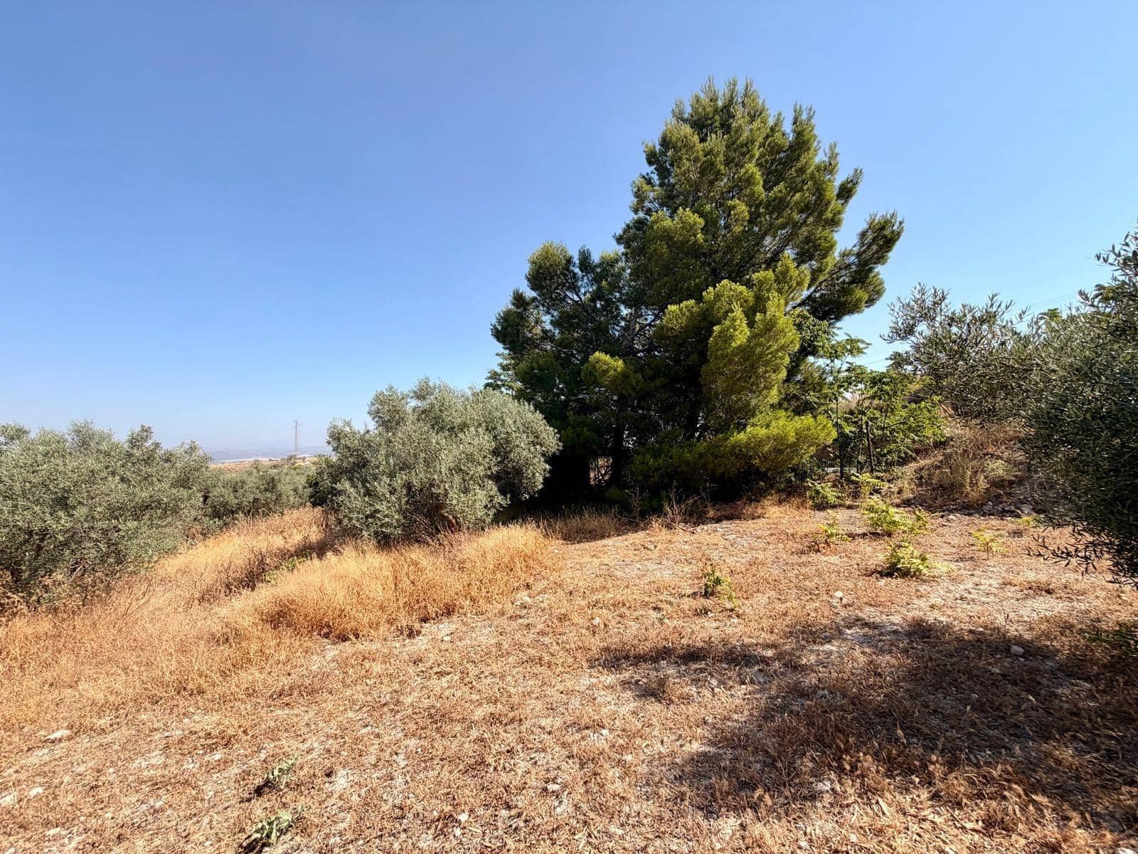 Undeveloped Land for sale in Salar - € 70,000 (Ref: 9945918)