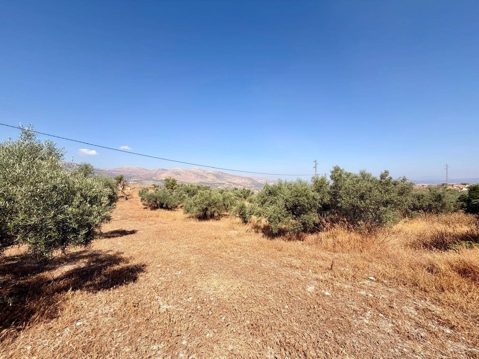 Undeveloped Land for sale in Salar - € 70,000 (Ref: 9945918)