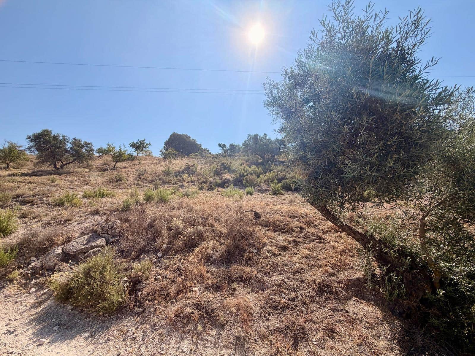 Undeveloped Land for sale in Salar - € 70,000 (Ref: 9945918)