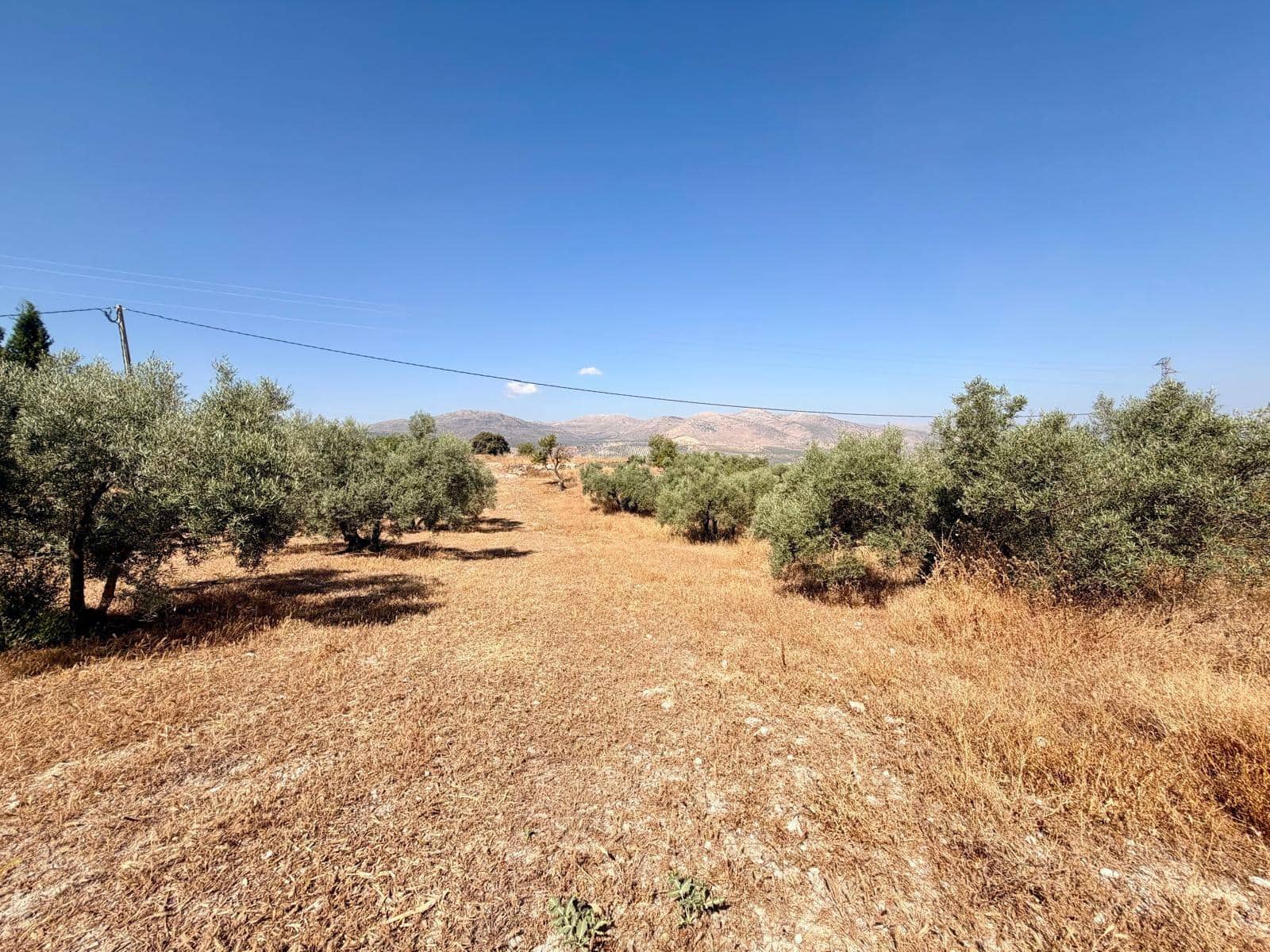 Undeveloped Land for sale in Salar - € 70,000 (Ref: 9945918)