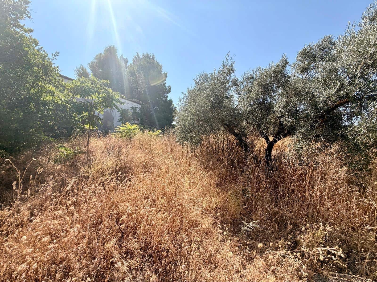 Undeveloped Land for sale in Salar - € 70,000 (Ref: 9945918)