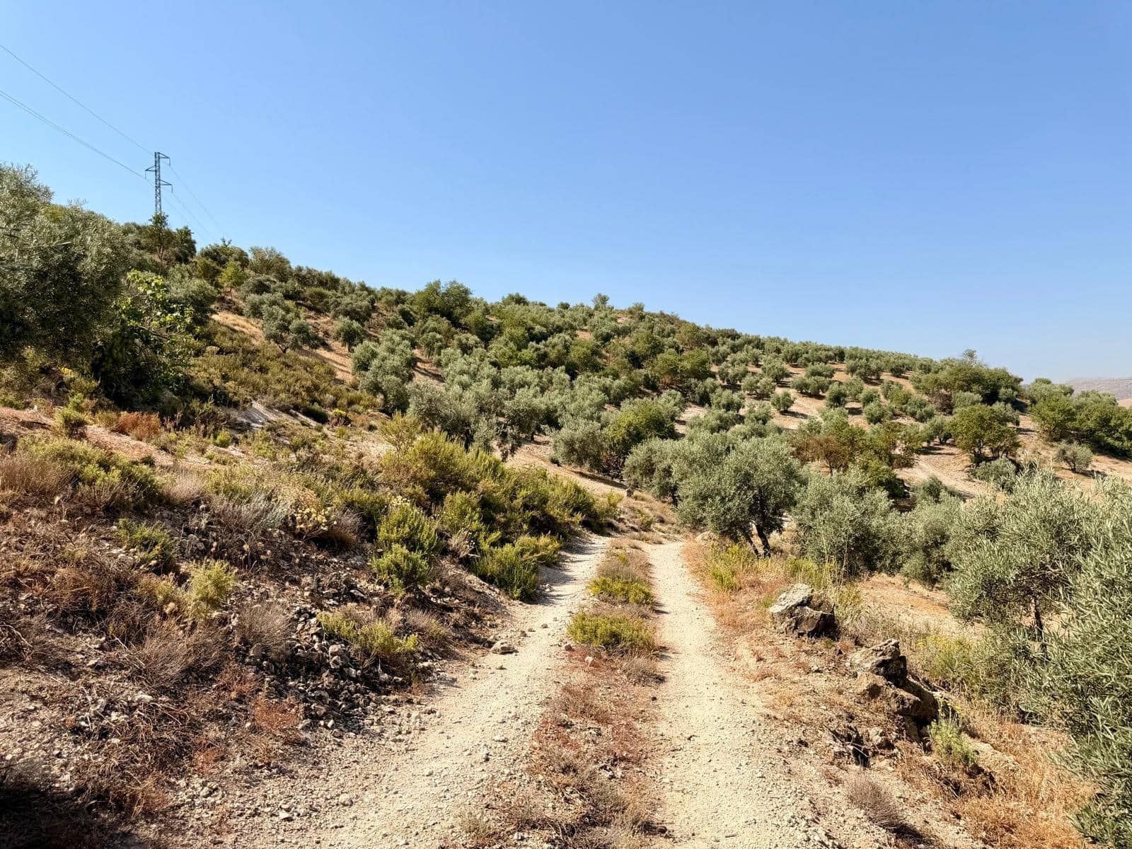 Undeveloped Land for sale in Salar - € 70,000 (Ref: 9945918)
