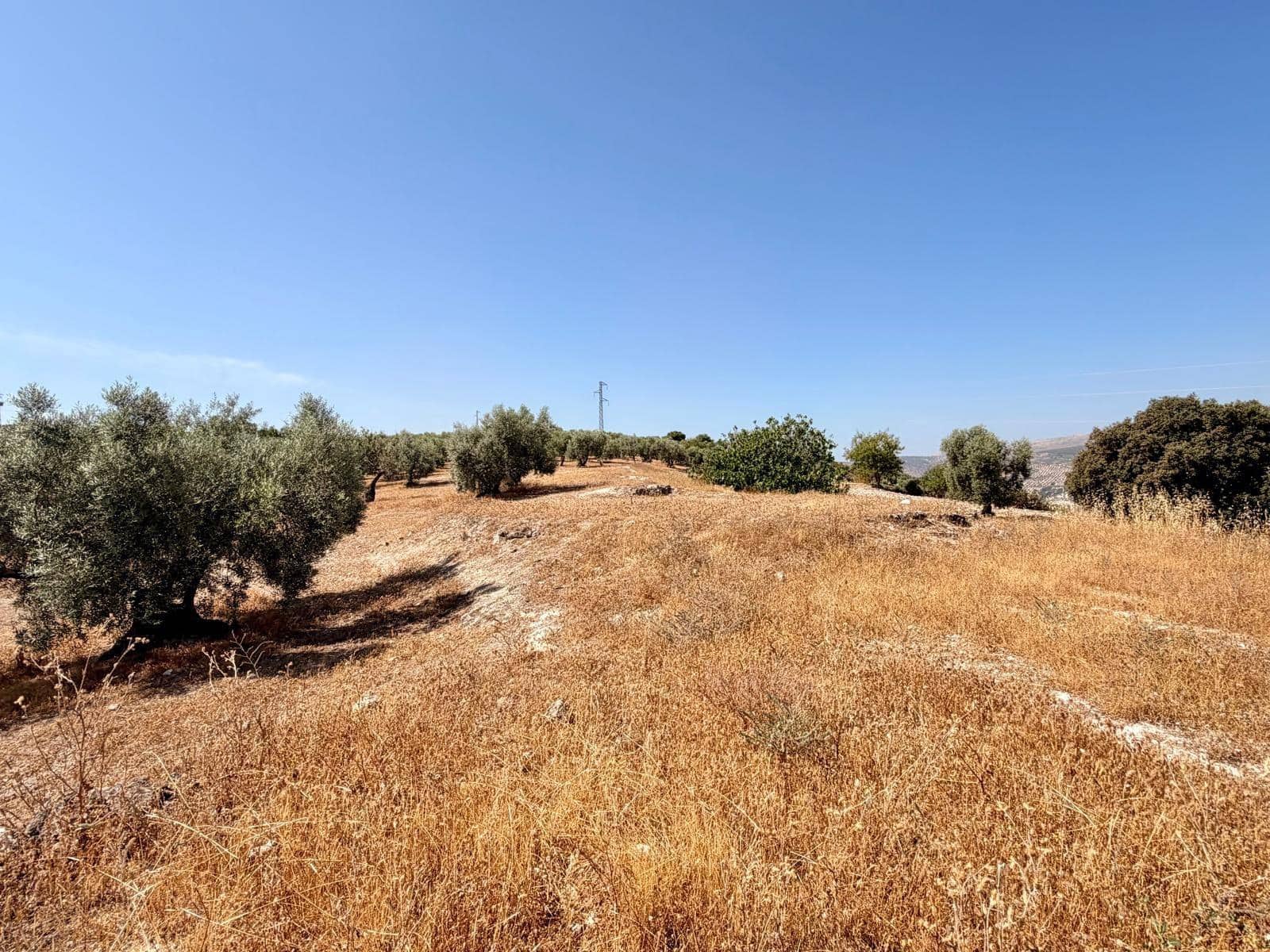 Undeveloped Land for sale in Salar - € 70,000 (Ref: 9945918)