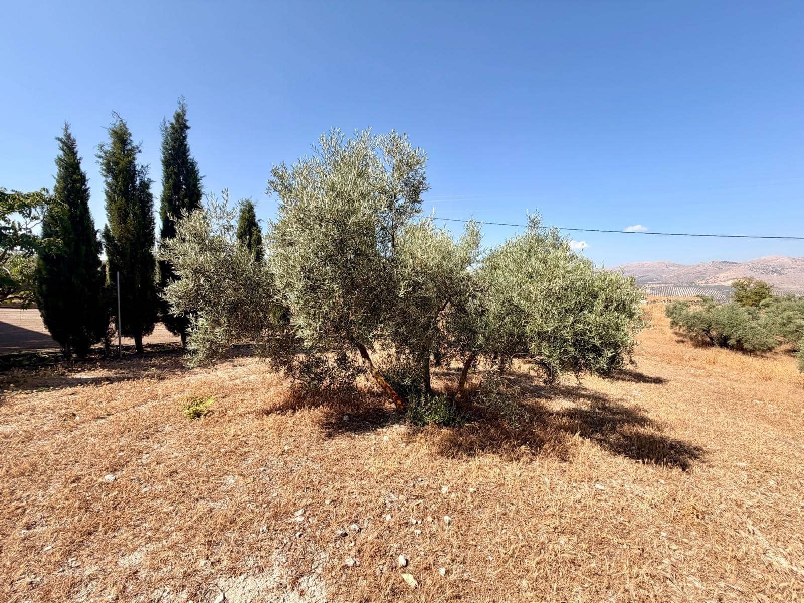 Undeveloped Land for sale in Salar - € 70,000 (Ref: 9945918)