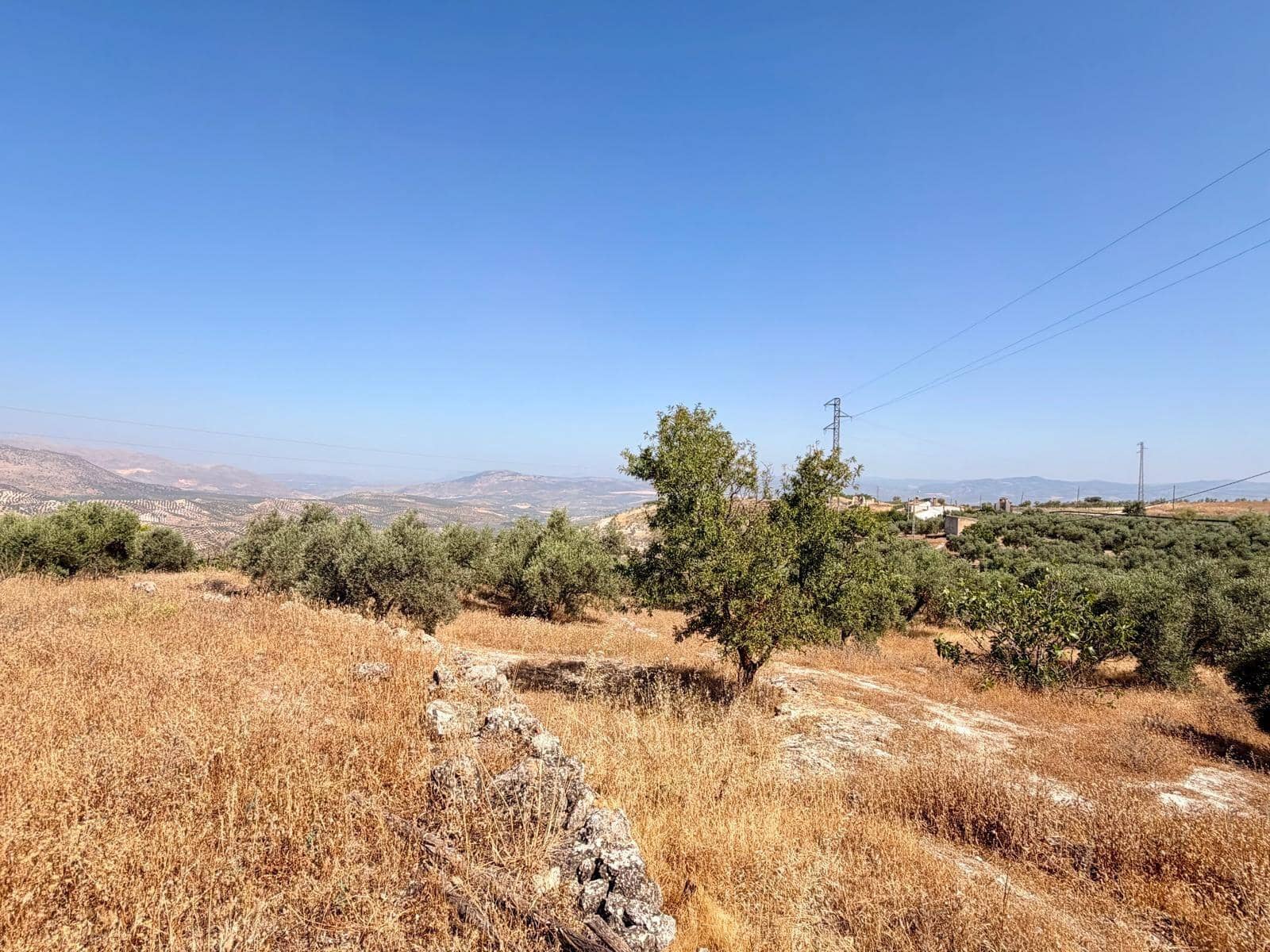 Undeveloped Land for sale in Salar - € 70,000 (Ref: 9945918)
