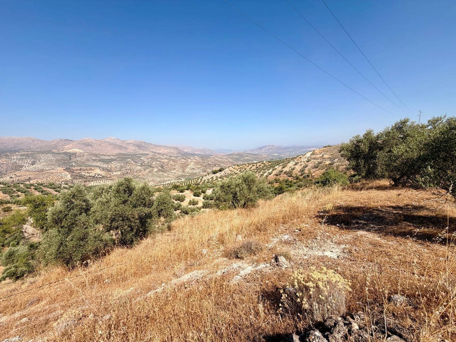 Undeveloped Land for sale in Salar - € 70,000 (Ref: 9945918)