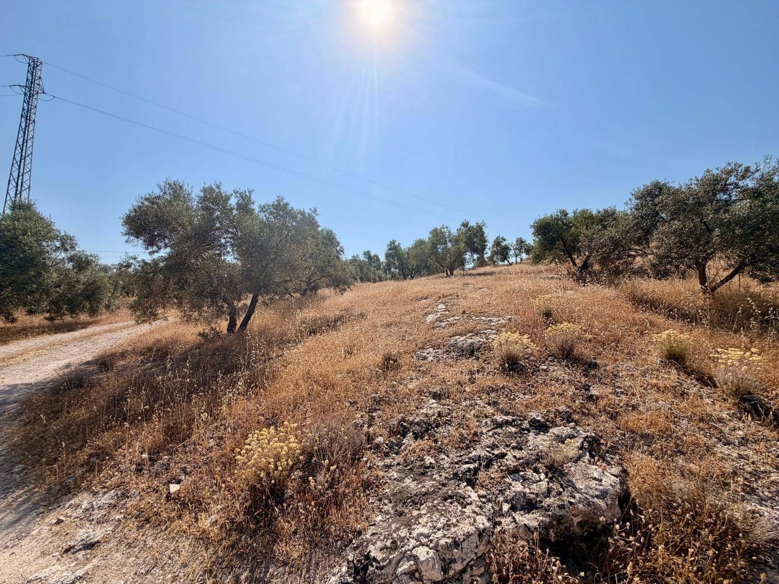 Undeveloped Land for sale in Salar - € 70,000 (Ref: 9945918)