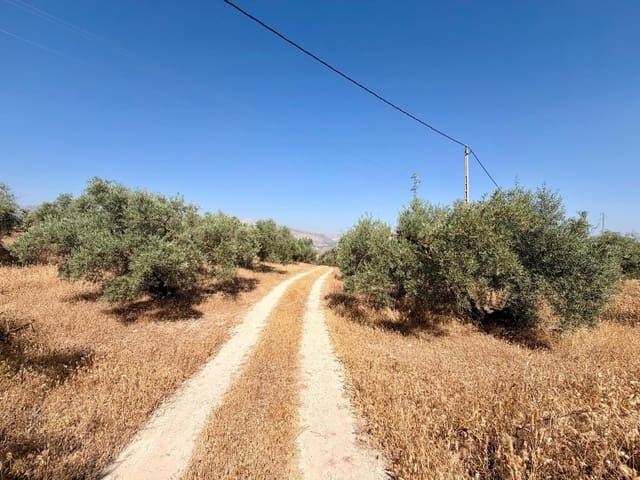 Terre non Aménagée à vendre à Salar - 70 000 € (Ref: 9945918)