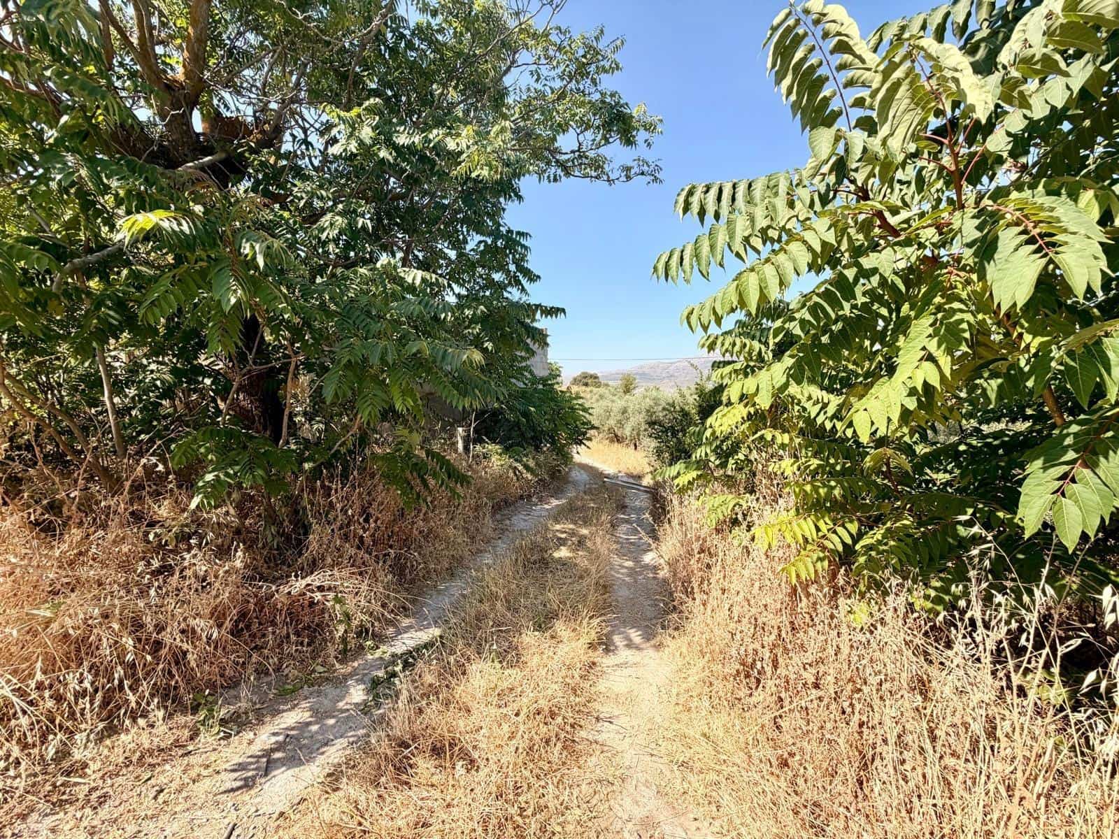Undeveloped Land for sale in Salar - € 70,000 (Ref: 9945918)
